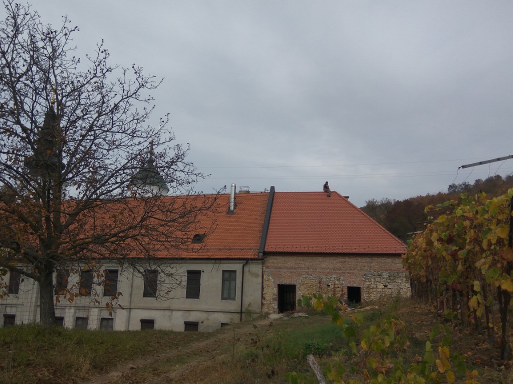 Фотографија из галерије Манастира Кувеждин, 2018 (68)